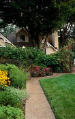 Ormus Minerals -Effective Microbes Plant Microflora lawn and garden Ormus Minerals -Effective Microbes Plant Microflora lawn and garden